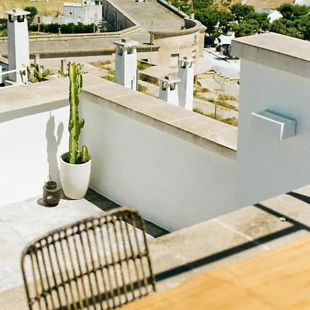 Nest House
